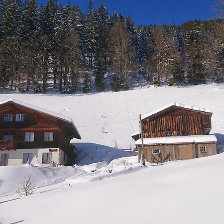 Kaenzeli - Ferienwohnung Mit Traumaussicht Beatenberg Bagian luar foto